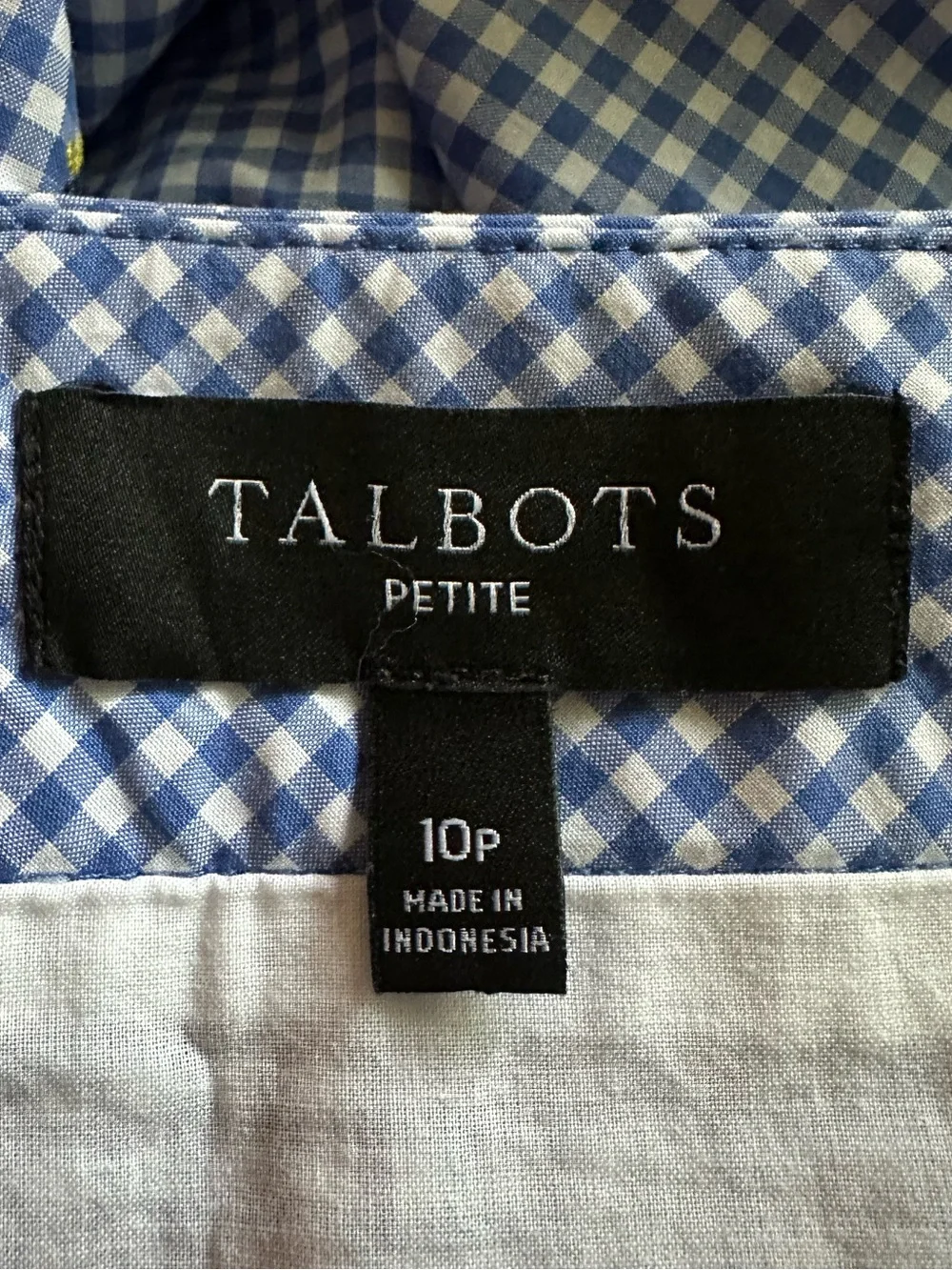 Women’s Blue Gingham Skirt | Embroidered Toucan Detail | Talbots
